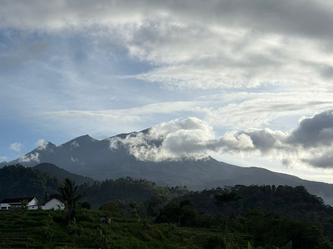 Rumah Atsiri Indonesia-Tawangmangu必去景点