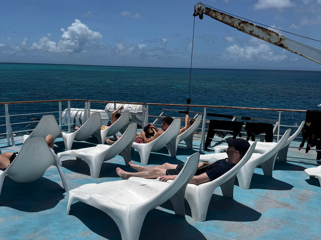 Reef Encounter-凯恩斯必去景点