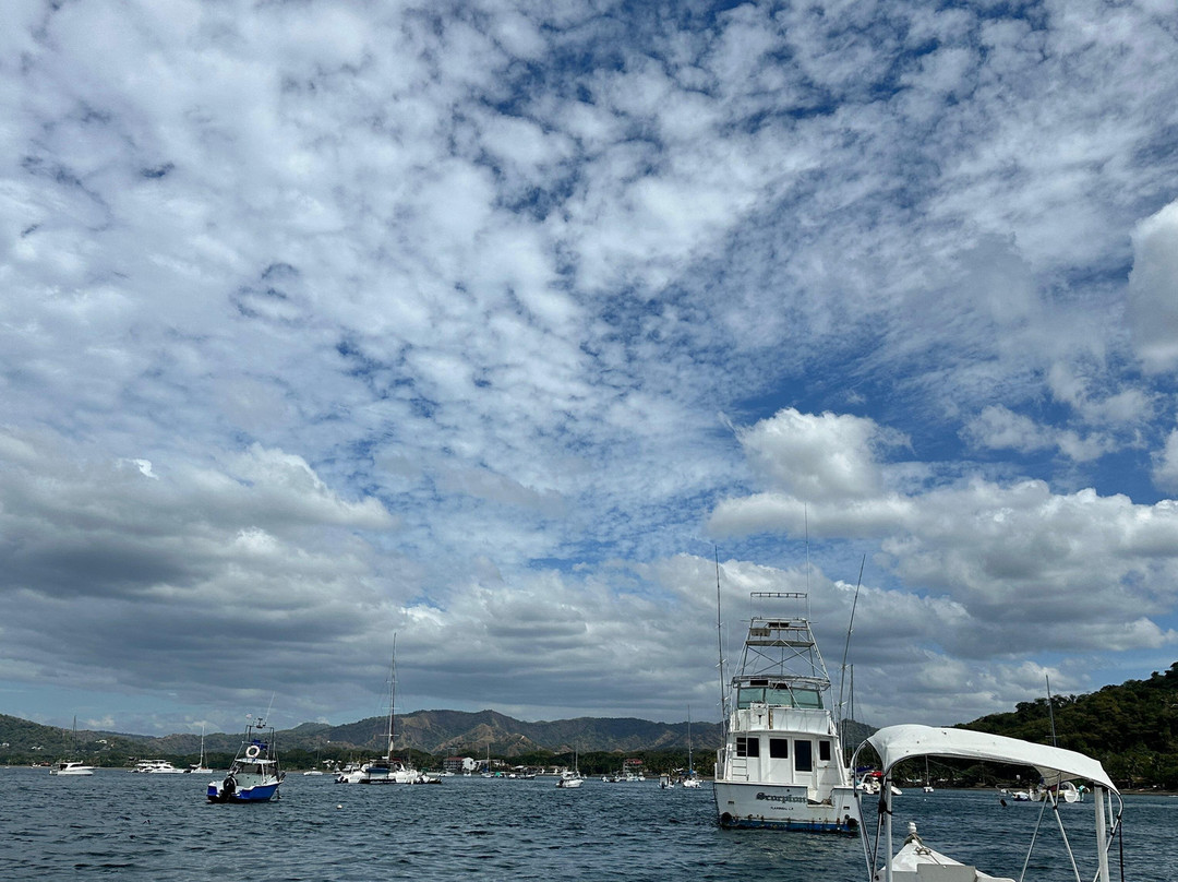 Uncharted Diving Expeditions-Playa Flamingo必去景点