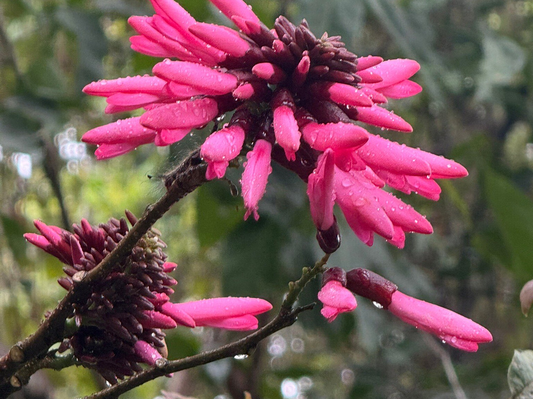 GEORGE OF THE JUNGLE ADVENTURE-格兰德岛必去景点