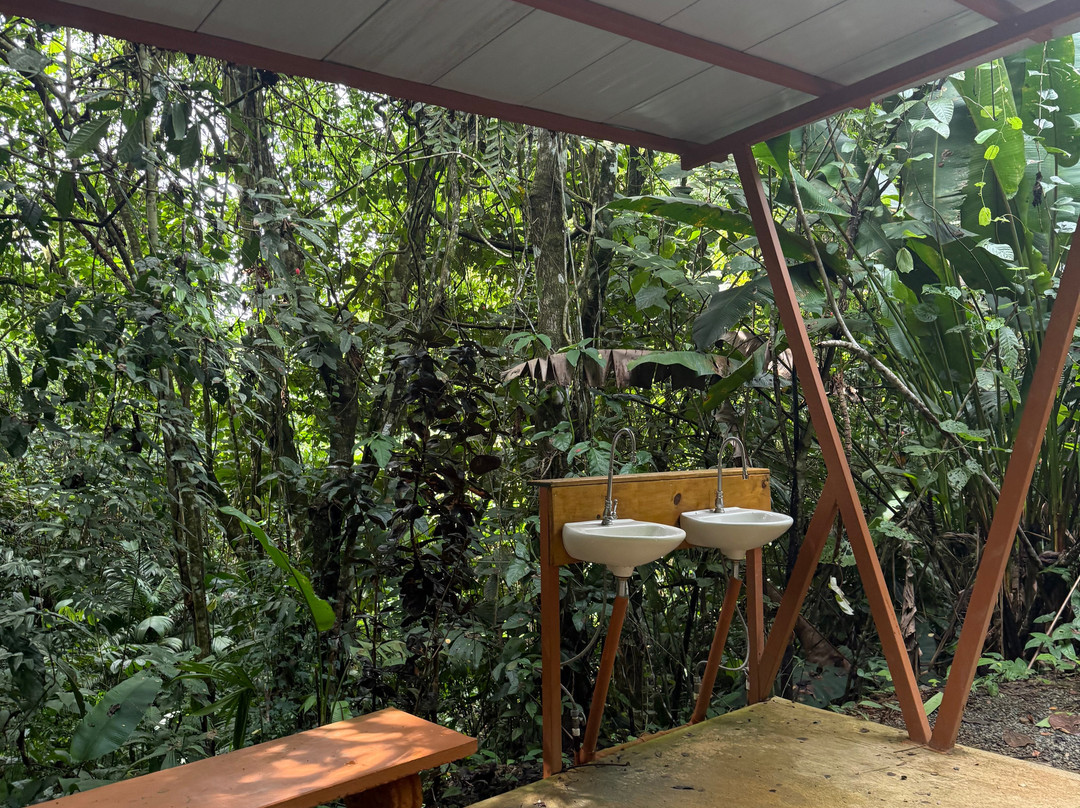 Nauyaca Waterfall Nature Park-Baru必去景点