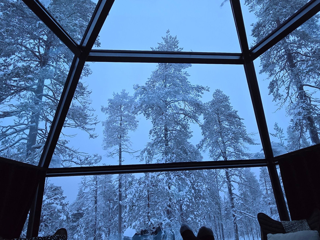 Aurora Queen Resort主图