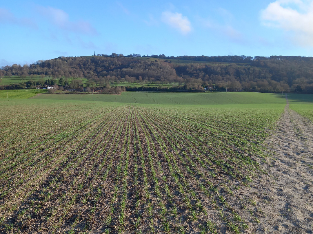 Coombe Hill-艾尔斯伯里必去景点