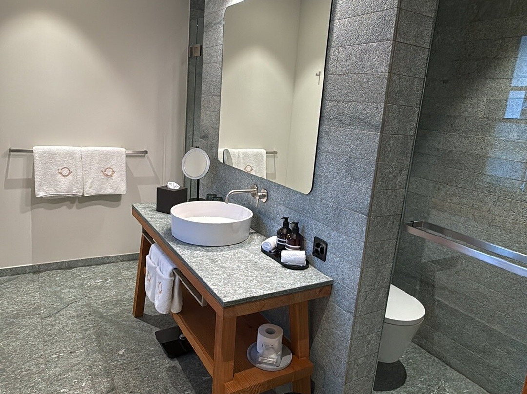 Hotel Post Andeer主图