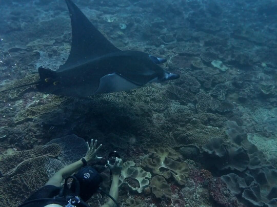 Nusablu Diving Penida-Kutampi Kaler必去景点