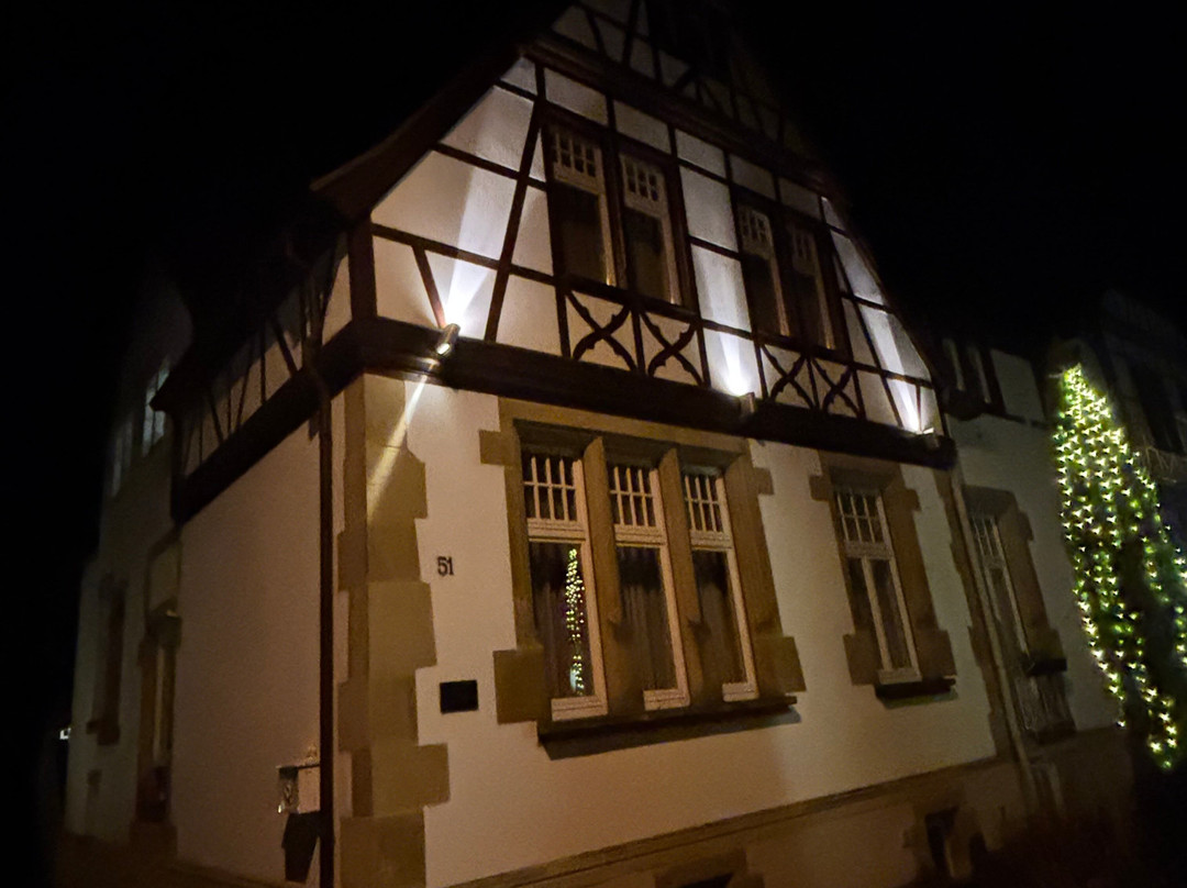 Villa Benz - Hotel Garni主图