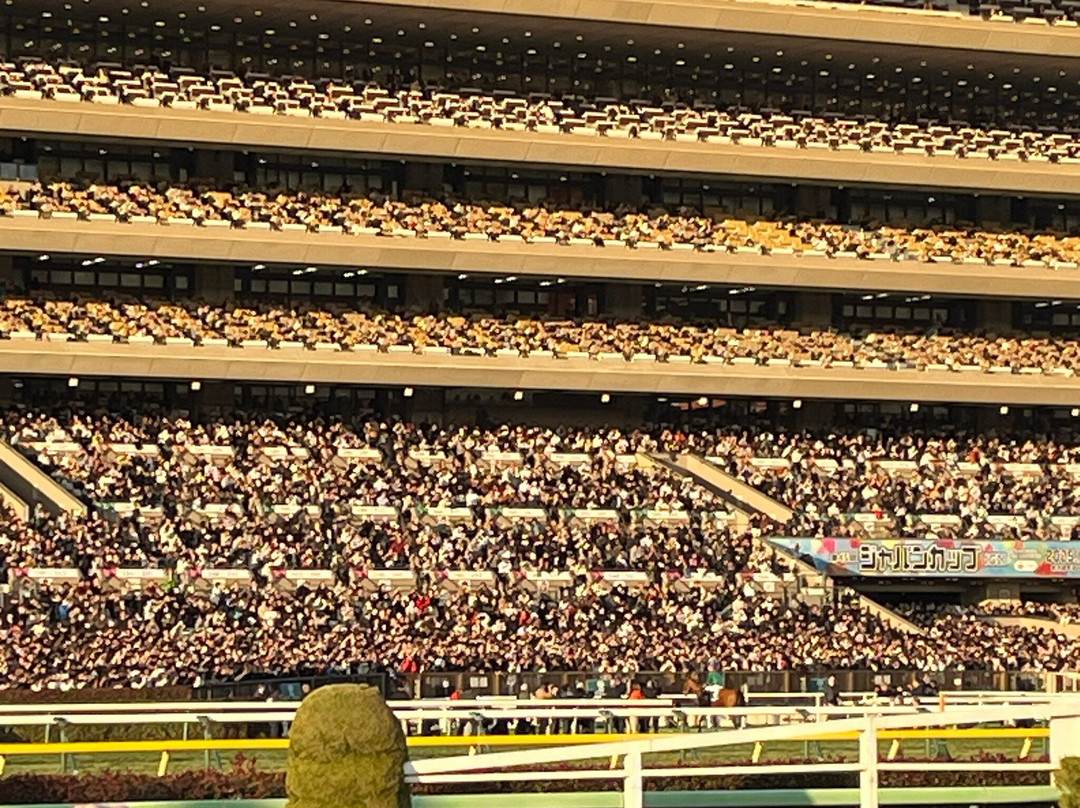 Tokyo Racecourse-府中市必去景点