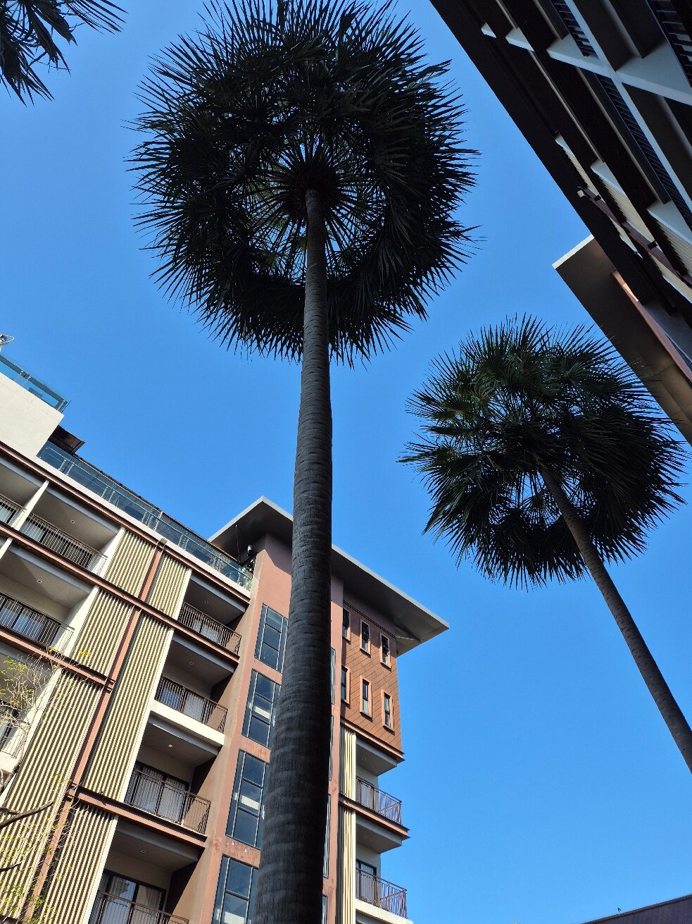 Amanta Hotel Nongkhai-官方