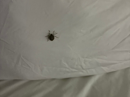 Hampton Inn Stony Creek/petersburg Area主图