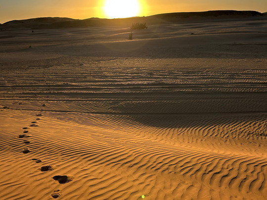 EasyGo Tours-马拉喀什必去景点