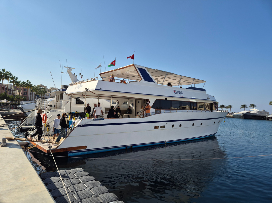 Deep Blue Dive Center-亚喀巴必去景点