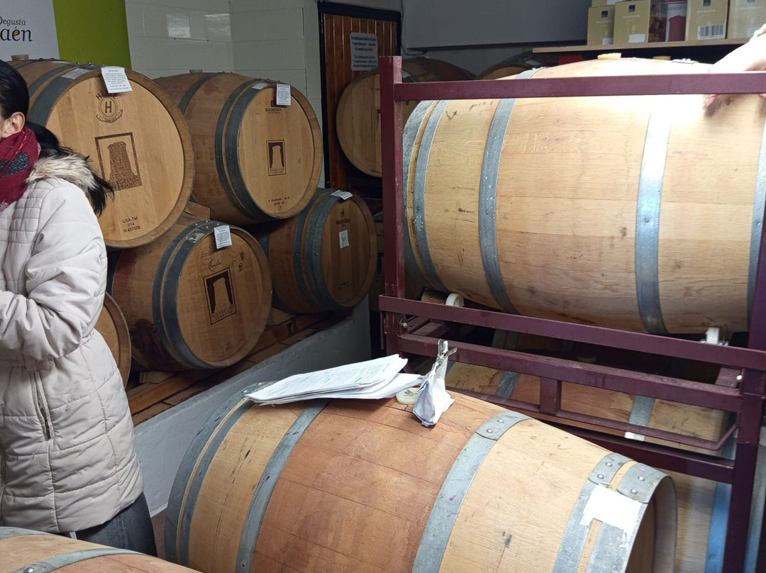 Viñedos & Bodega Marcelino Serrano-Alcala la Real必去景点