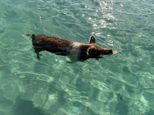 Aquaquest Escapes-George Town必去景点