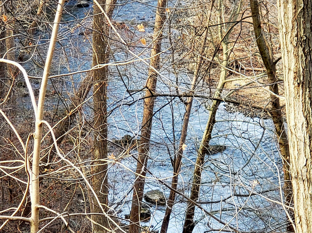 Forge Hill Road Bridge-Bel Air必去景点