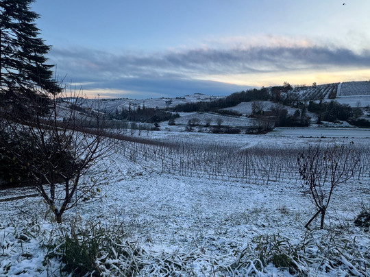 卡西那德雷罗赛酒店主图