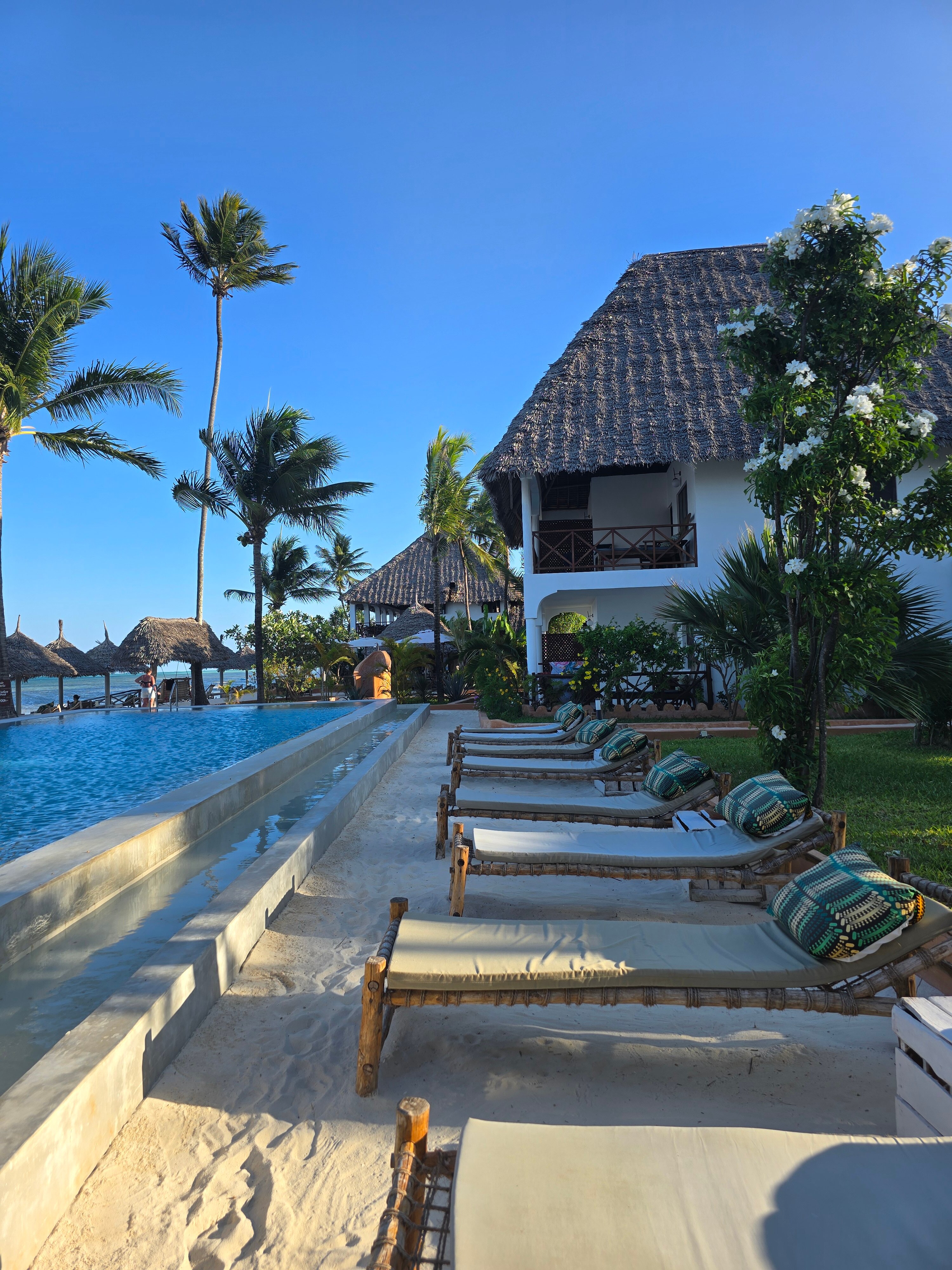 蓝牡蛎酒店-官方