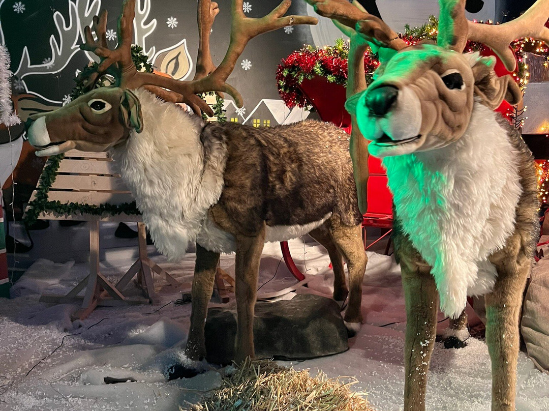 Kent Life-梅德斯通必去景点