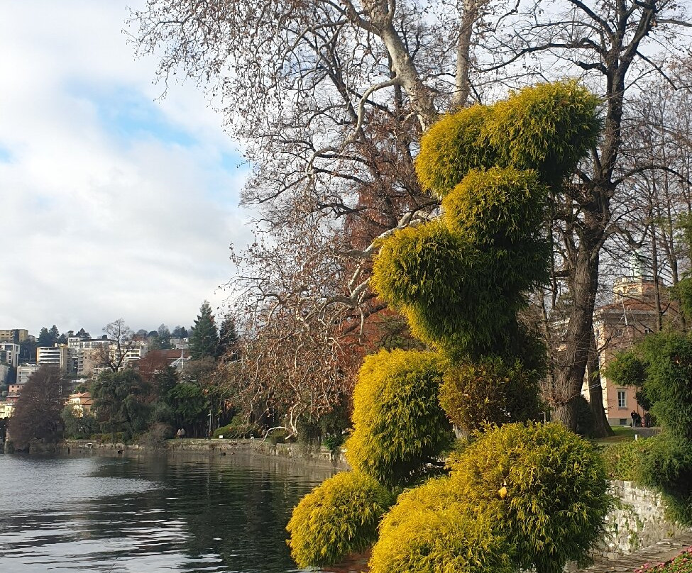 Parco Ciani-卢加诺必去景点