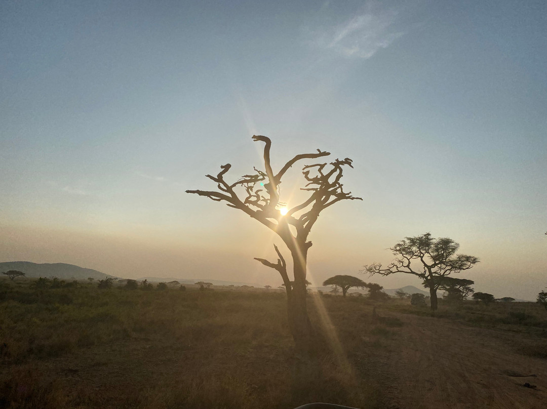 Still Waters Safaris Tanzania-阿鲁沙必去景点