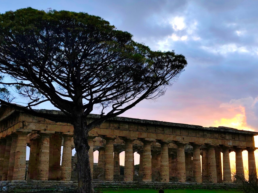 Parco Archeologico di Paestum e Velia-Paestum必去景点