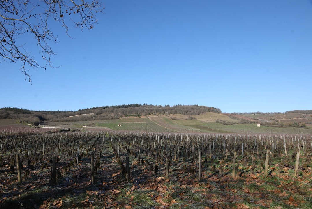 Statue de Notre Dame de Varanges-Givry必去景点