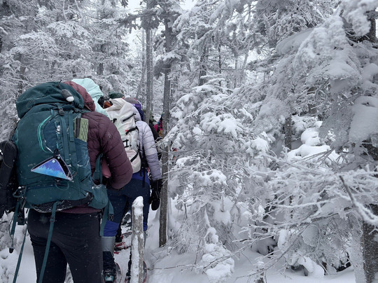 Adventure Untamed-纽约市必去景点