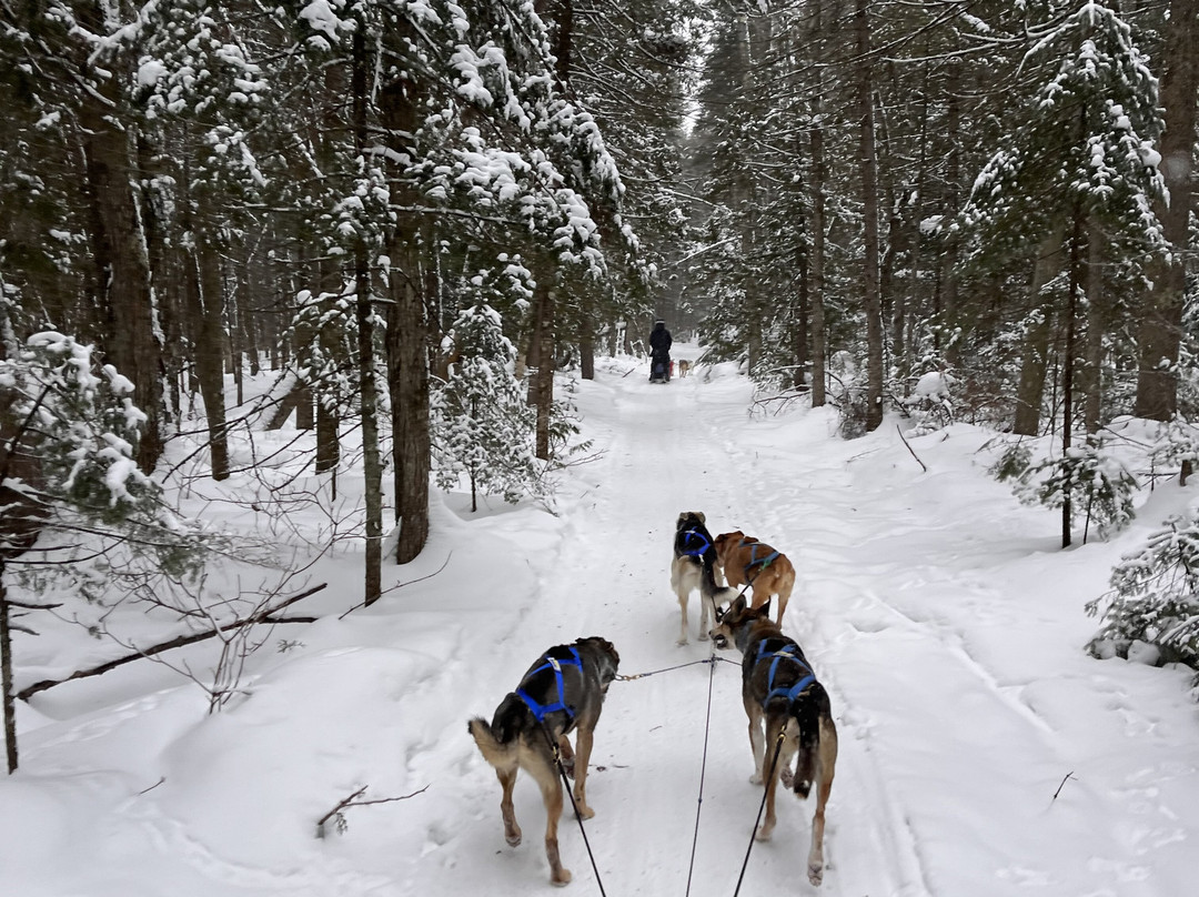 Les Aventures Liguoriennes-Saint-Liguori必去景点