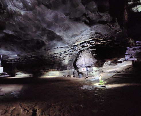 Sudwala Caves-尼斯普鲁特必去景点