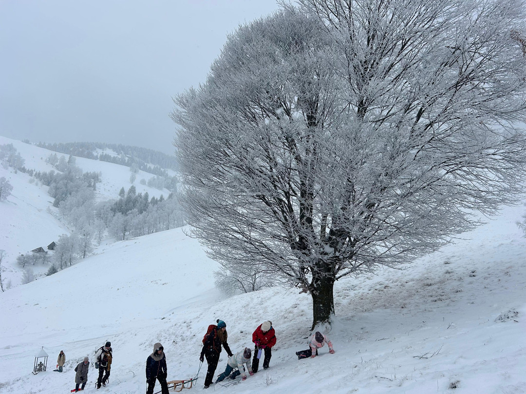 Sibiu Guide Nico-锡比乌必去景点