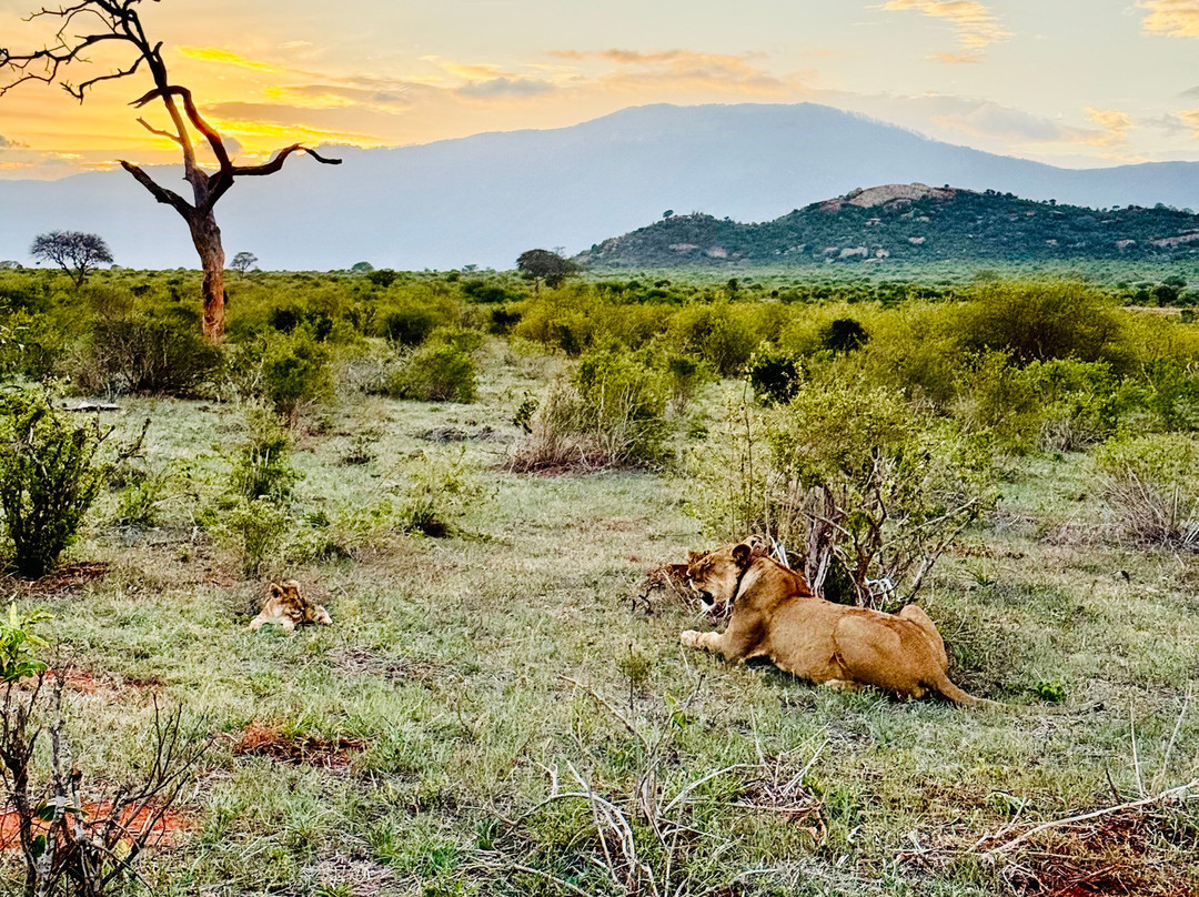 Watamu Diego Safari Day Tours-瓦塔木必去景点