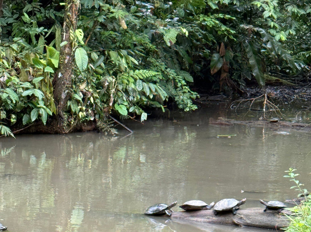 Runawa Tours-Misahualli必去景点