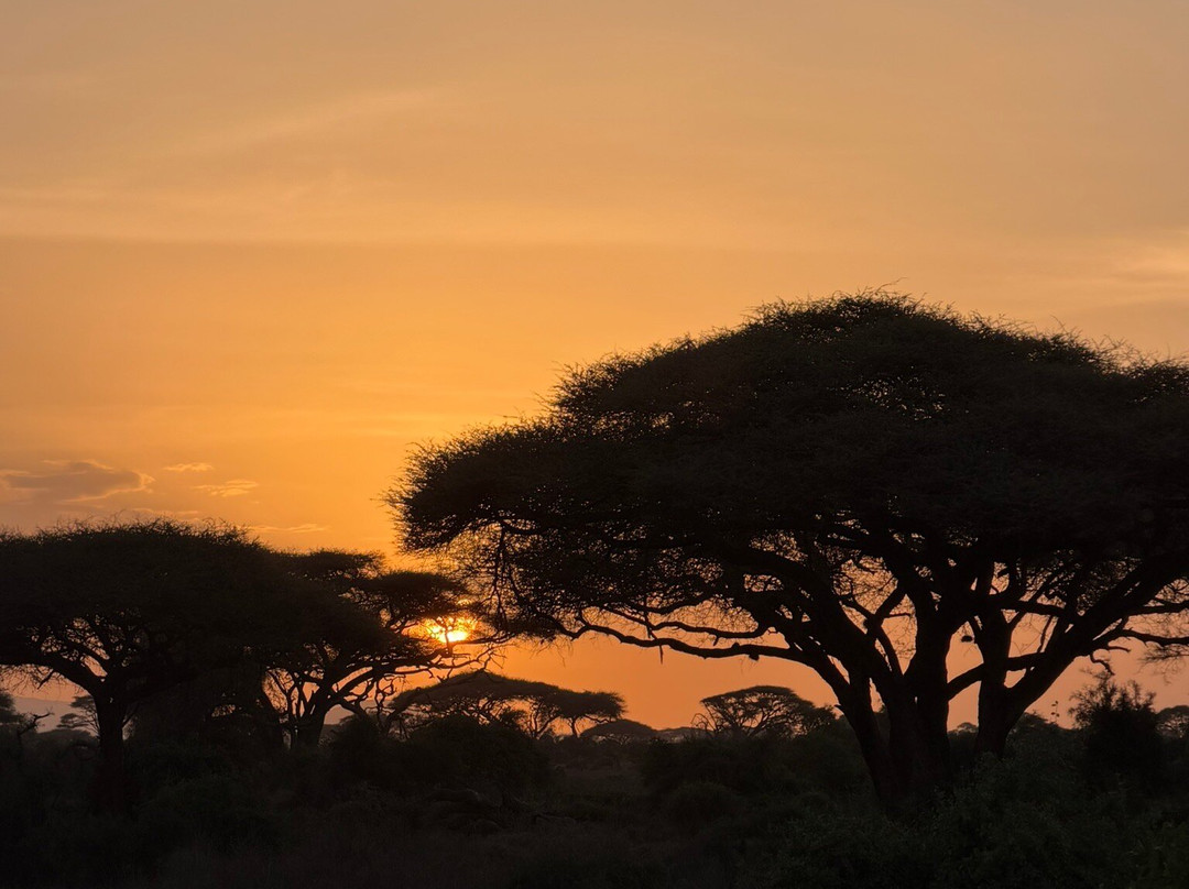 Discovery Kenya con Fragola-瓦塔木必去景点