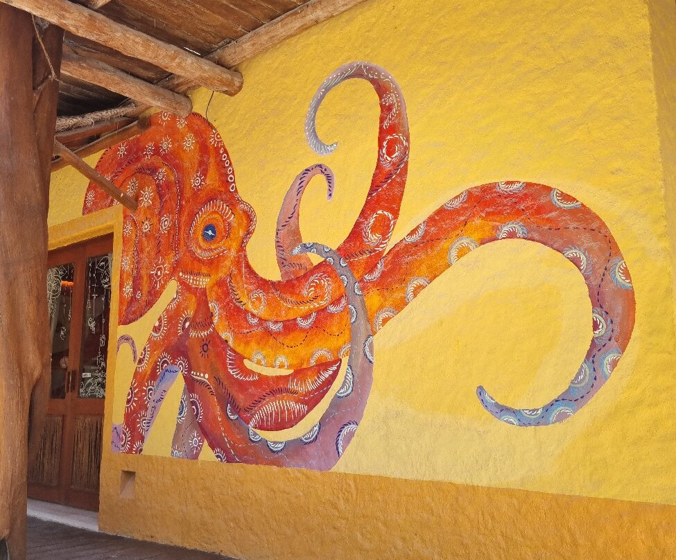 Isla Holbox-Holbox Island必去景点