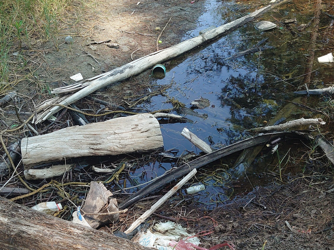 Royal Thai Navy Sea Turtle Conservation Center Phang Nga-Lam Kaen必去景点