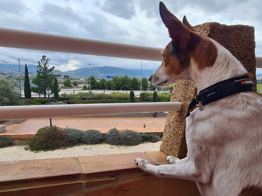 Hotel Ho Ciudad de Jaen主图