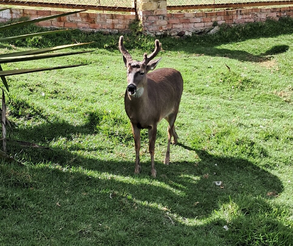 Bioparque Guátika-Tibasosa必去景点
