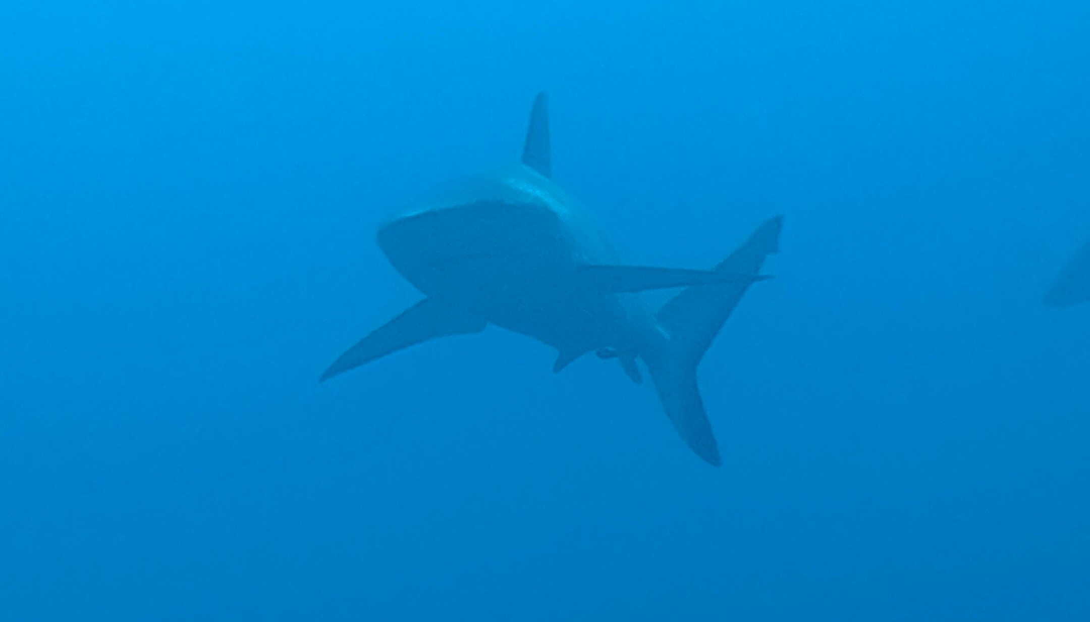 鲁滨逊俱乐部度假村-官方