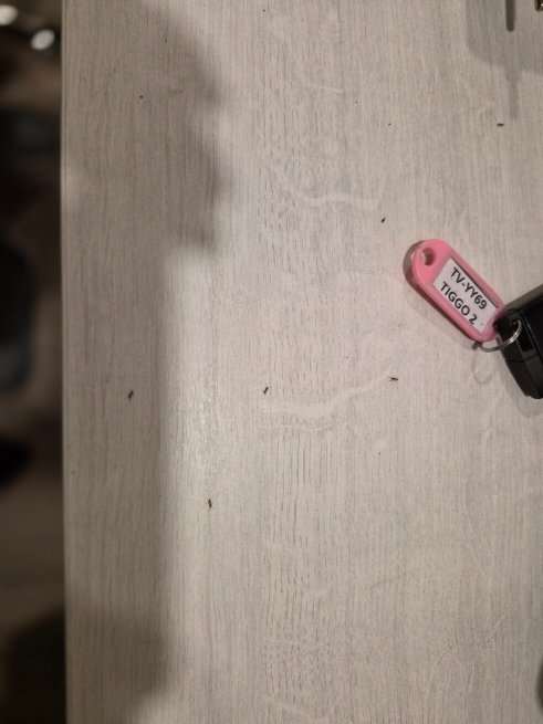 迪亚戈阿马格阿罗普多酒店-官方