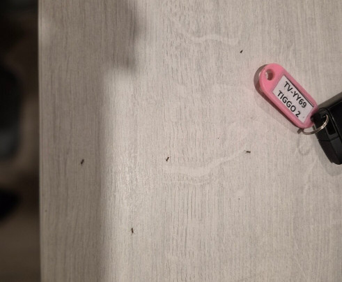 迪亚戈阿马格阿罗普多酒店主图