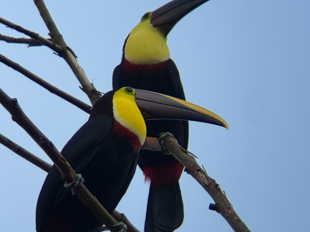 Lucy Kitcher Pickleball-格雷斯湾必去景点