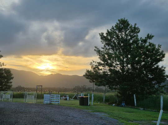 Koorawatha Homestead Motel主图