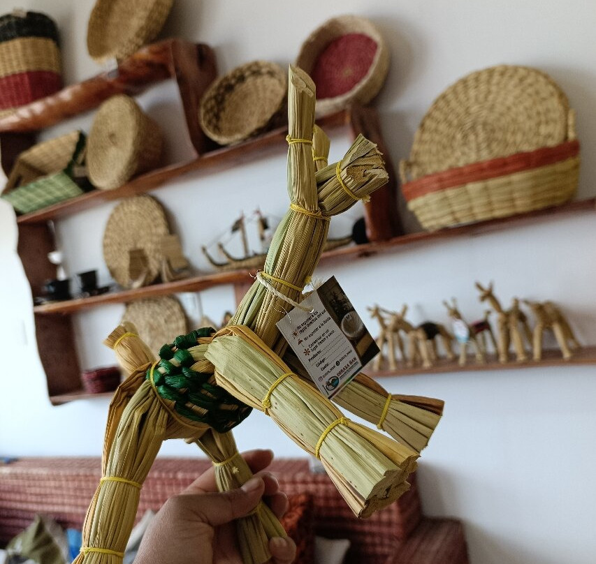 Totora Wasi-San Rafael必去景点