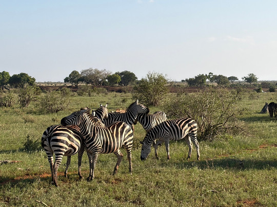 Viaggi in Kenya con Silvio - Safari e Tour Personalizzati-瓦塔木必去景点