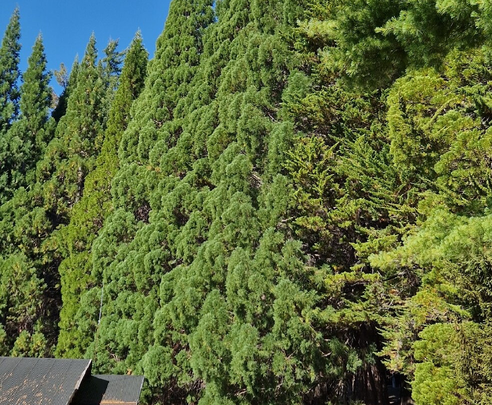 Isla Victoria-圣卡洛斯-德巴里洛切必去景点