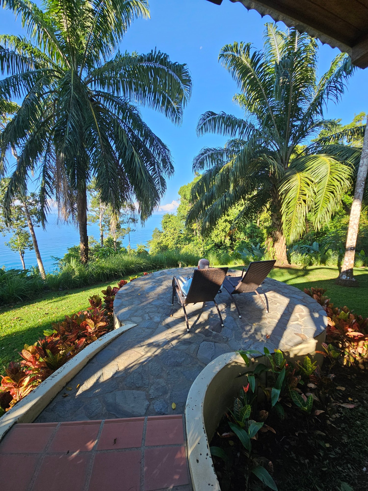 Bosque del Cabo Rainforest Lodge-酒店景观