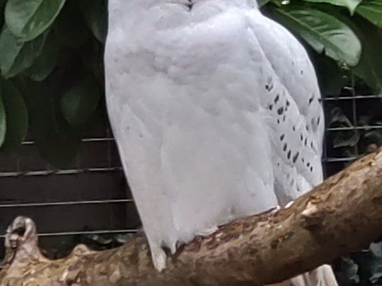 Shepreth Wildlife Park-Shepreth必去景点