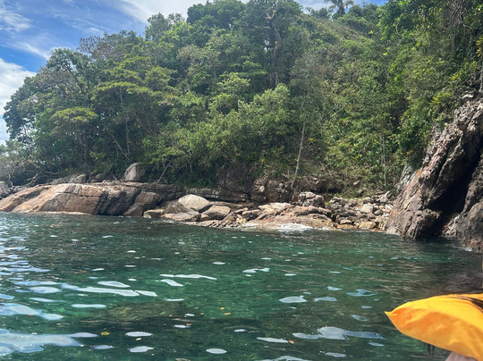 Ilha Das Couves-Picinguaba必去景点