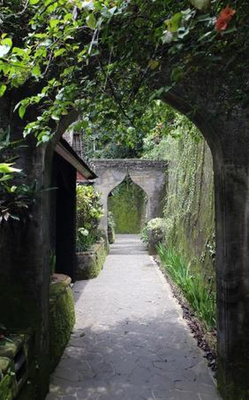 巴龙蝴蝶度假村主图