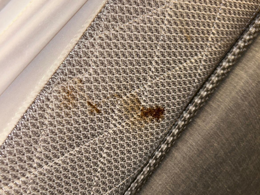 阿纳海姆梅恩盖特万豪家居酒店主图