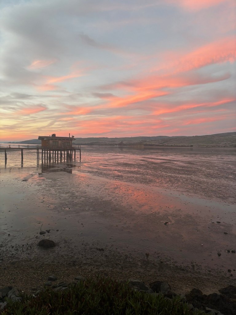 Dancing Coyote Beach-官方